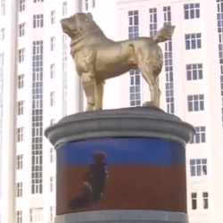 Il cane tutto d’oro, così la nuova statua dell’Alabai inaugurata in Turkmenistan