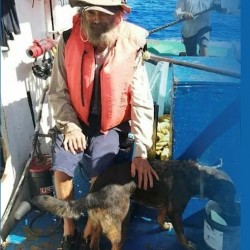 Bella il cane naufrago, due mesi alla deriva sul catamarano