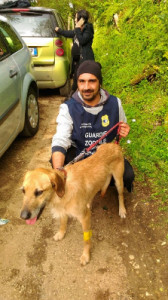 Paco appena recuperato