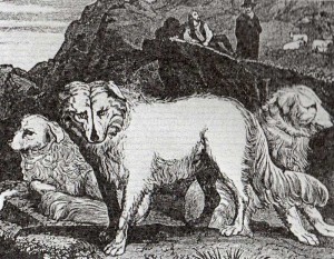 Dogs-of-Abruzzi,-Penny-pres