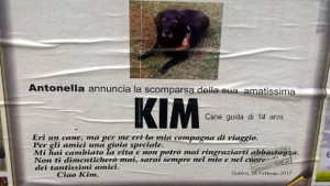 Il manifesto affisso a Gubbio